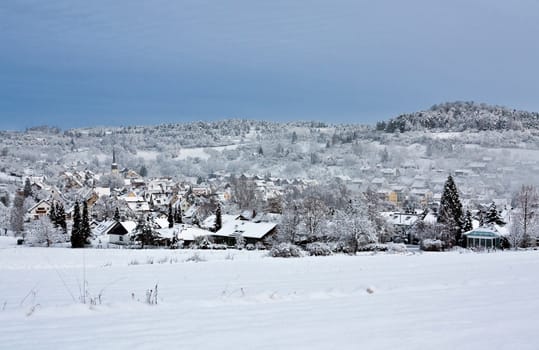 This image shows a black forest village in winter with light fog