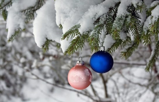 This image shows two Christmas tree balls on a real fir with snow