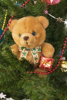 Plush toy bear in the banch of Cristmas-tree 