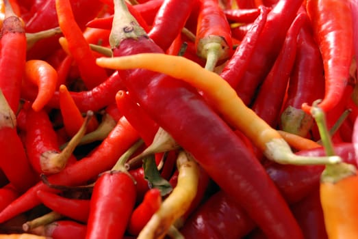 red hot pepper