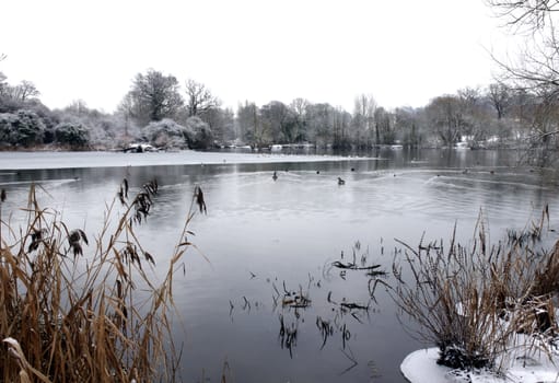 A view of a lake in winter with snow