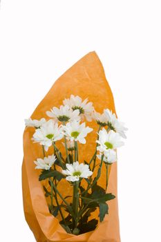 bouquet of white chrysanthemum in orange wrapping