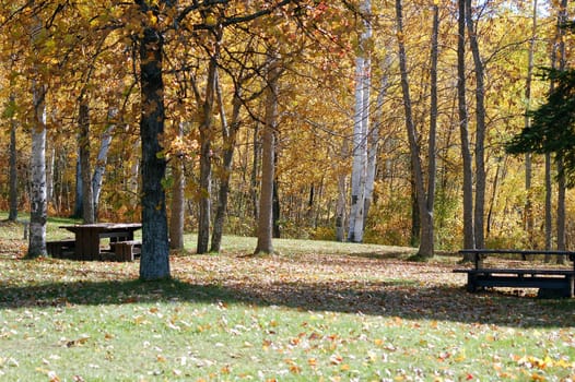 A beautiful rest area surronded by the autumn's colors