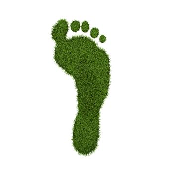 Green grass footprint on a white background.