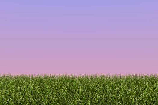 Image of a field of grass against a twilight background.