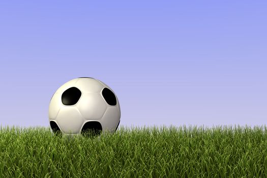 A soccer ball (football) on grass against a blue sky.