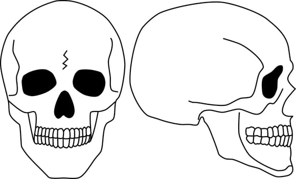 Two black and white skulls in different position