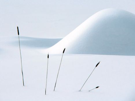 A very serene winter still life