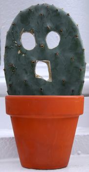 Picture of a cactus that has been carved