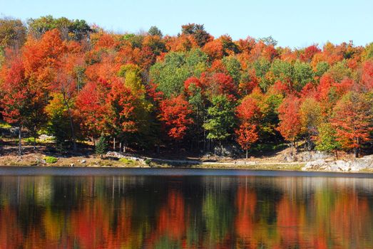 Picture of a calm lake with colorful trees in the background