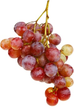 Bunch of red grapes isolated on white with clipping path.