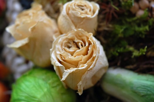 Close-up picture of some dried up yellow roses