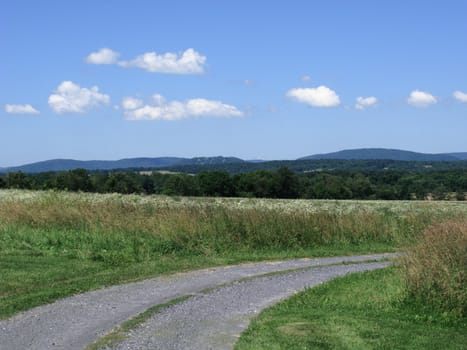 A back road winds through a rural summer landscape