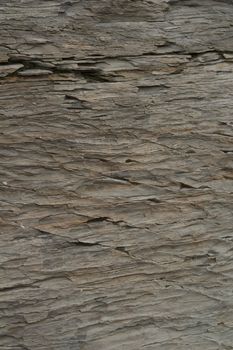 Close-up of slate in the Canadian Rockies