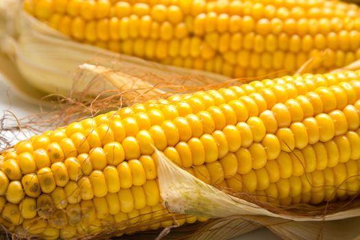 Freshly harvested corn, close up. Shallow DOF, macro, background