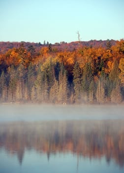 A beautiful autumn's landscape in the morning with fog and mist