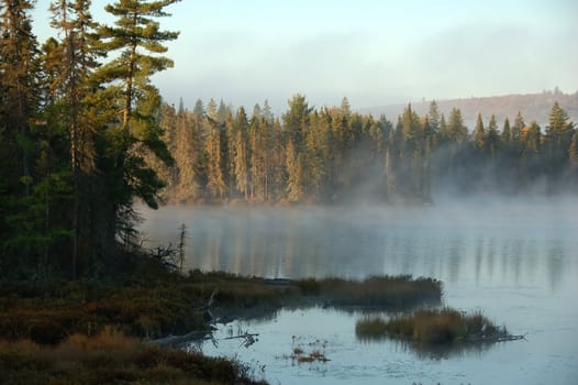 A beautiful autumn's landscape in the morning with fog and mist