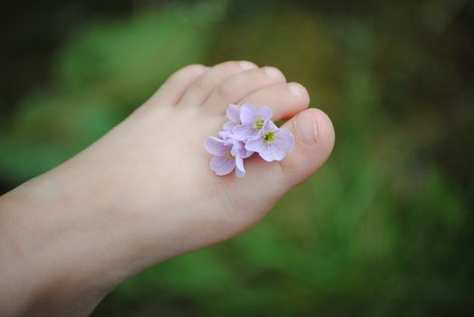 foot of child with flower