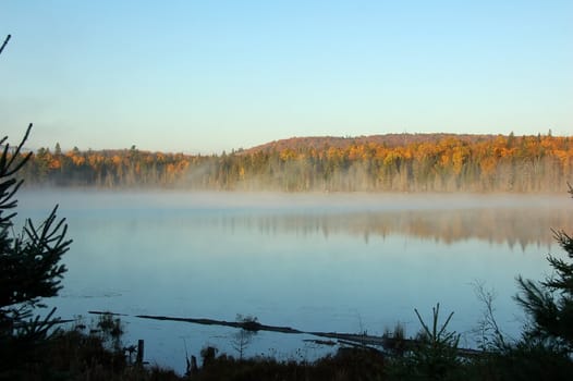 A beautiful autumn's landscape in the morning with fog and mist