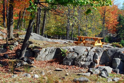 A beautiful autumn's landscape showing a rest area in a colorful forest