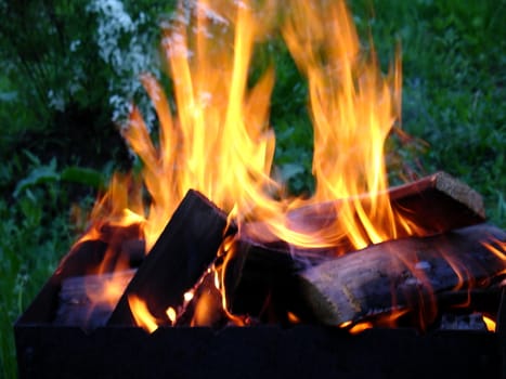 Brazier with fired logs at night in forest