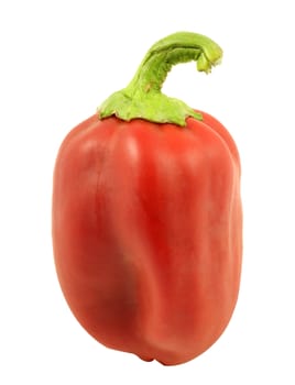 Red pepper isolated in white