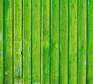 Green surface of a wooden old decayed wall
