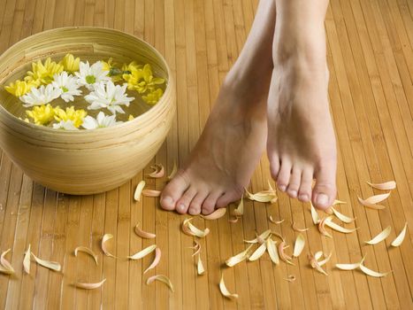 feet near a basin with flowers and water