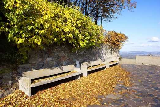 Three benches covered with leaves on a sunny day in autumn.