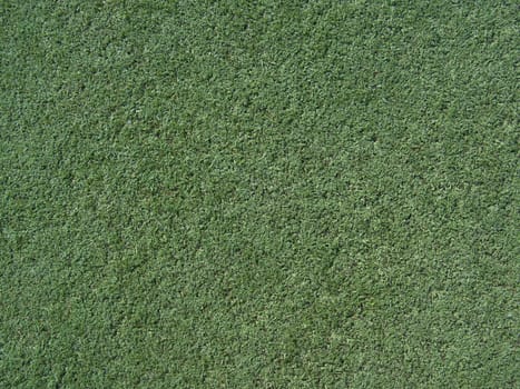 Green turf texture, with some variation in color.