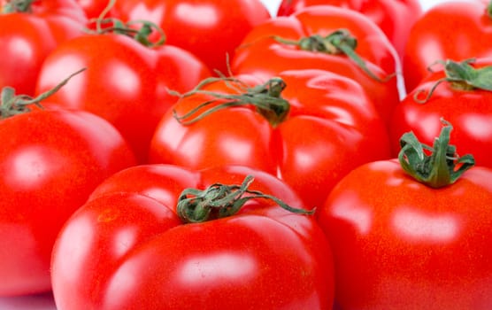 close-up many red ripe red tomatoes