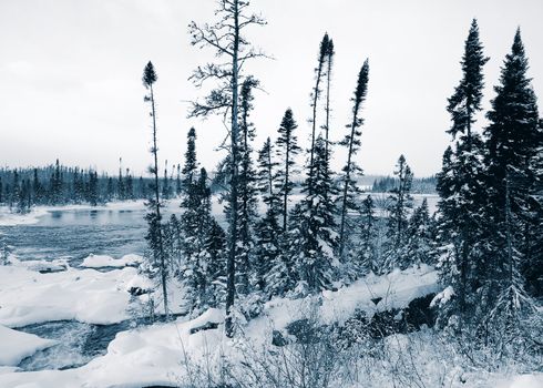 A winter landscape showing a foggy river in blue tones