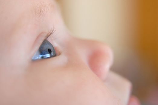 Blue baby eyes from side. Macro shot. Close-up.