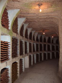 Wine cellar with collection bottles of wine