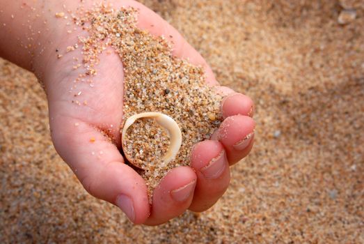 Close up picture of a kid hand showing sand and a shell.