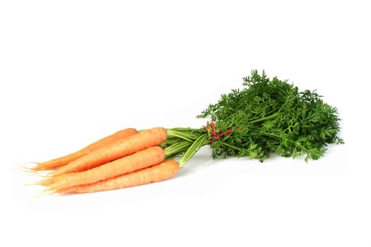 Fresh carrots on bright background