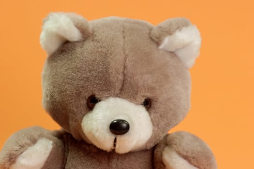 Cute stuffed animal on orange background