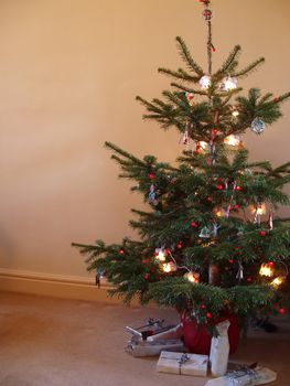 first christmas in a new home, a traditional decorated tree