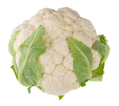single cauliflower, isolated on white