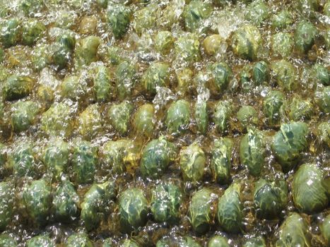 green pebbles under water