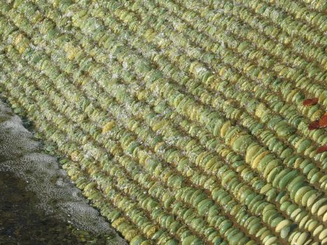 green pebbles under water