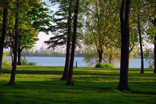 Montreal as senn from a park on the south shore