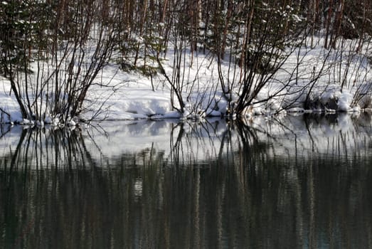 Picture of a small lake in winter