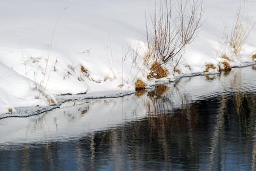 Picture of a small lake in winter