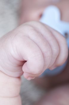 Picture of a new born hand. Baby picture