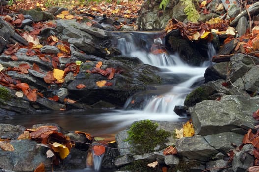 Shot of the autumn creek and small cascade