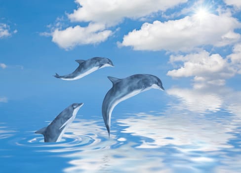 This image shows 3 generated dolphins