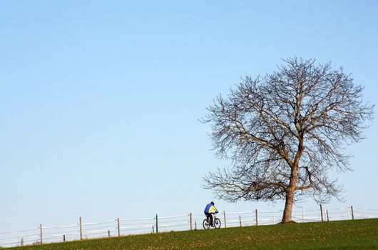 This image shows a mountain biker in autumn