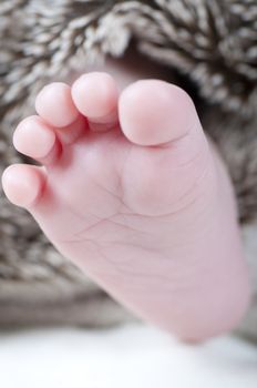 Picture of a new born foot. Baby picture