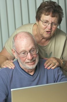 Senior Adults on Working on a Laptop Computer